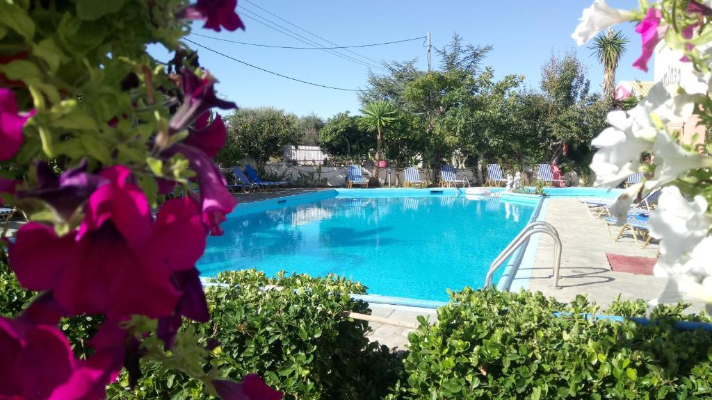 Flamingo Apartments Moraitika Corfu room 6